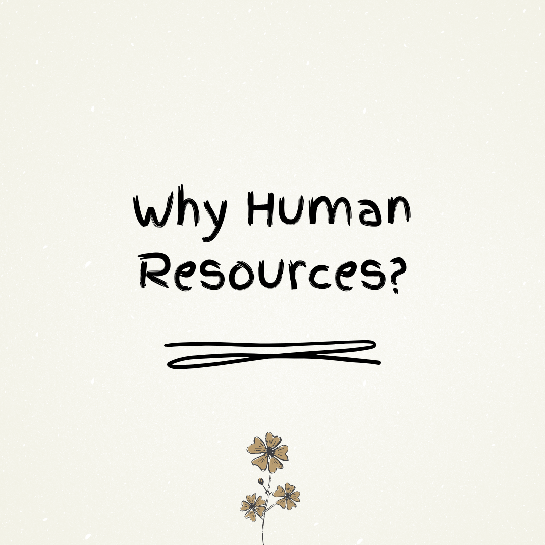 A beige background with subtle texture features the words 'Why Human Resources?' in a handwritten-style black font. Below the text, there is a decorative black underline. At the bottom of the image, there is a small illustration of three delicate flowers in earthy tones.
